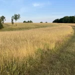 Okolí - Krudumské chalupy