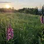 Okolí - Krudumské chalupy