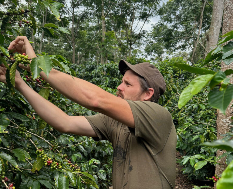 Pražírna Crudum Coffee - Krudumské chalupy